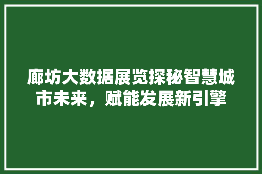 廊坊大数据展览探秘智慧城市未来，赋能发展新引擎  第1张