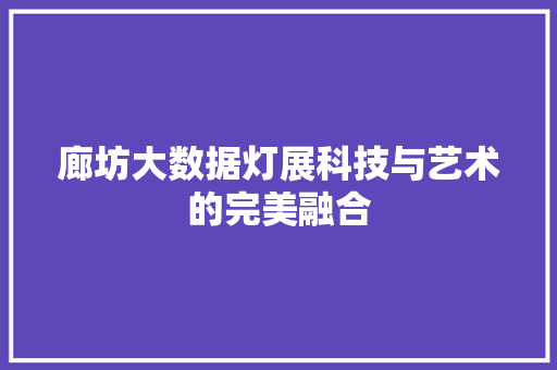 廊坊大数据灯展科技与艺术的完美融合