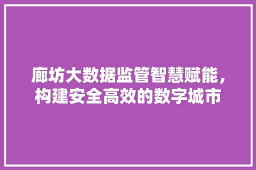 廊坊大数据监管智慧赋能，构建安全高效的数字城市  第1张