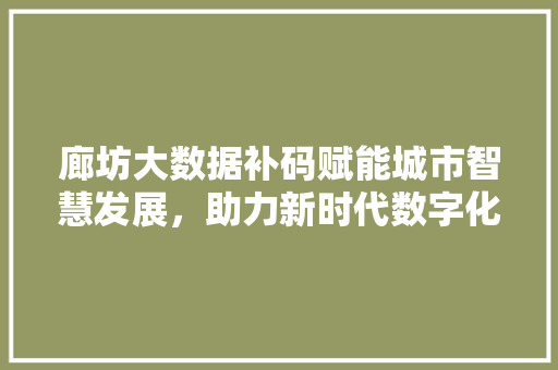 廊坊大数据补码赋能城市智慧发展，助力新时代数字化转型  第1张
