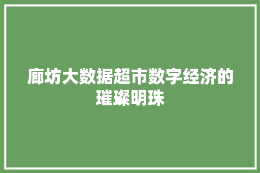 廊坊大数据超市数字经济的璀璨明珠