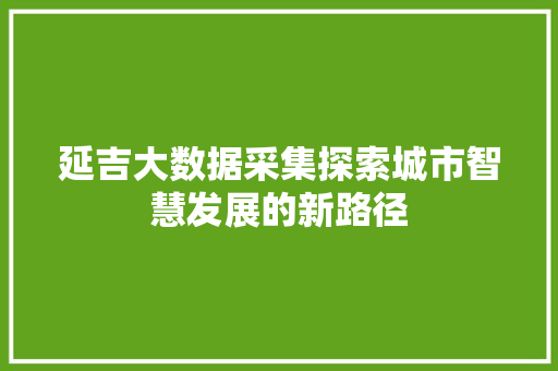 延吉大数据采集探索城市智慧发展的新路径