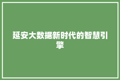 延安大数据新时代的智慧引擎  第1张
