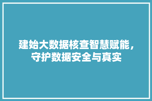 建始大数据核查智慧赋能，守护数据安全与真实  第1张