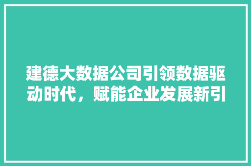 建德大数据公司引领数据驱动时代，赋能企业发展新引擎