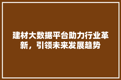 建材大数据平台助力行业革新，引领未来发展趋势