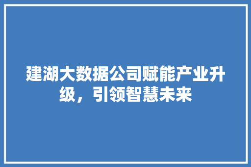 建湖大数据公司赋能产业升级，引领智慧未来