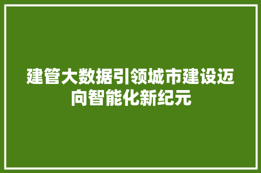建管大数据引领城市建设迈向智能化新纪元