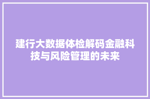 建行大数据体检解码金融科技与风险管理的未来