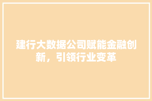 建行大数据公司赋能金融创新，引领行业变革  第1张