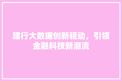 建行大数据创新驱动，引领金融科技新潮流  第1张