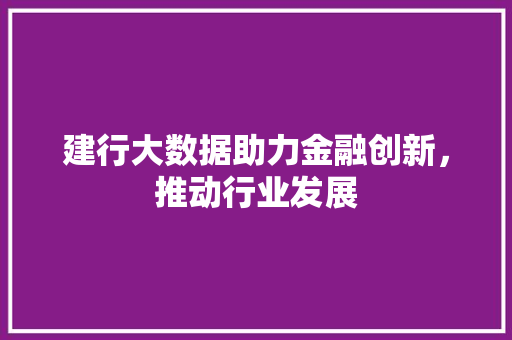 建行大数据助力金融创新，推动行业发展  第1张