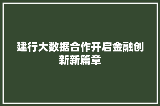 建行大数据合作开启金融创新新篇章