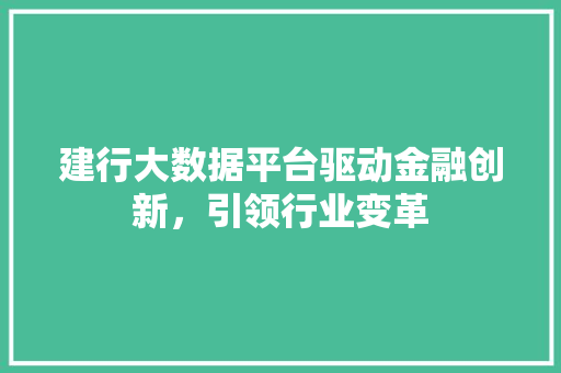 建行大数据平台驱动金融创新，引领行业变革