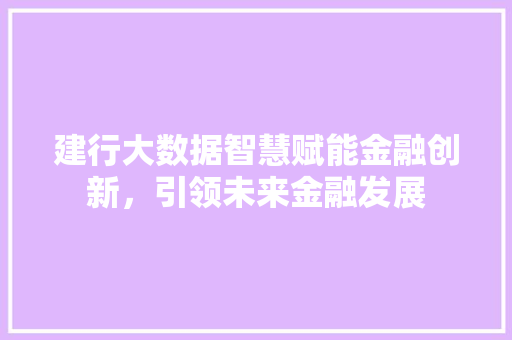 建行大数据智慧赋能金融创新，引领未来金融发展