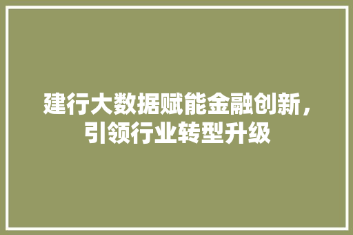 建行大数据赋能金融创新，引领行业转型升级