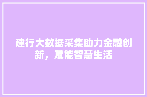 建行大数据采集助力金融创新，赋能智慧生活