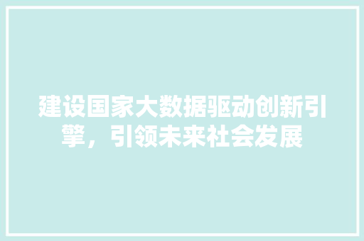 建设国家大数据驱动创新引擎，引领未来社会发展