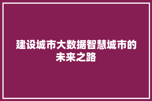 建设城市大数据智慧城市的未来之路  第1张