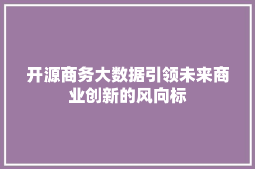 开源商务大数据引领未来商业创新的风向标  第1张
