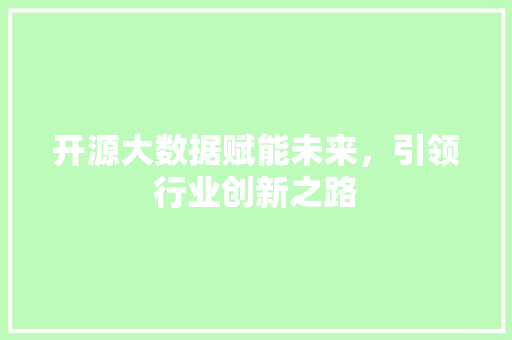 开源大数据赋能未来，引领行业创新之路  第1张