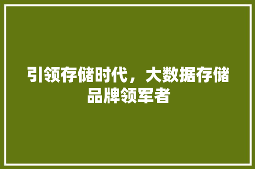 引领存储时代，大数据存储品牌领军者  第1张