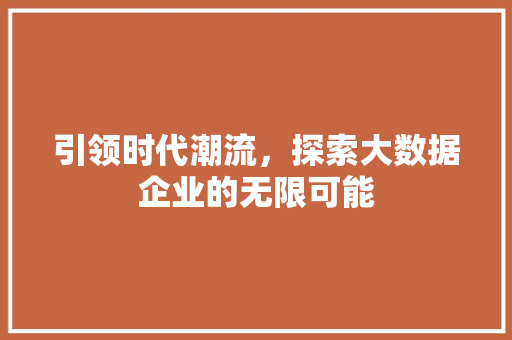引领时代潮流，探索大数据企业的无限可能  第1张