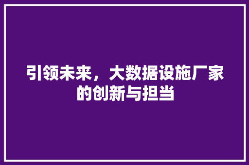 引领未来，大数据设施厂家的创新与担当  第1张