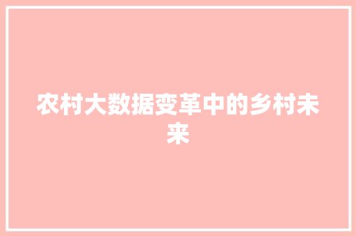 农村大数据变革中的乡村未来  第1张