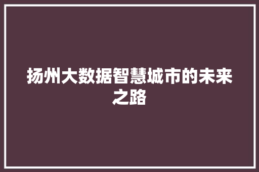 扬州大数据智慧城市的未来之路  第1张