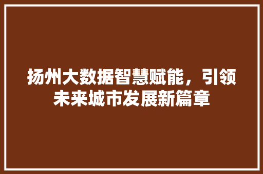 扬州大数据智慧赋能，引领未来城市发展新篇章  第1张