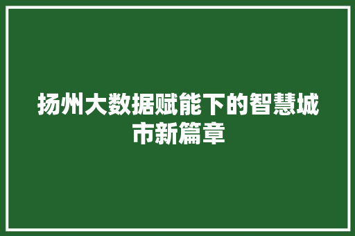 扬州大数据赋能下的智慧城市新篇章  第1张