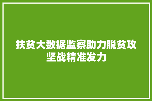扶贫大数据监察助力脱贫攻坚战精准发力  第1张