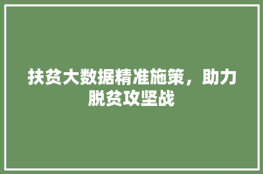 扶贫大数据精准施策，助力脱贫攻坚战  第1张