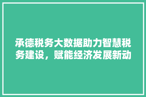 承德税务大数据助力智慧税务建设，赋能经济发展新动能