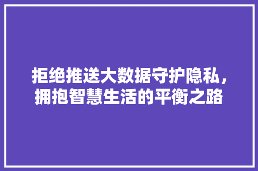 拒绝推送大数据守护隐私，拥抱智慧生活的平衡之路  第1张