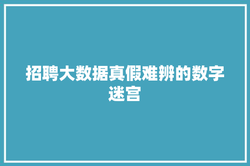 招聘大数据真假难辨的数字迷宫  第1张