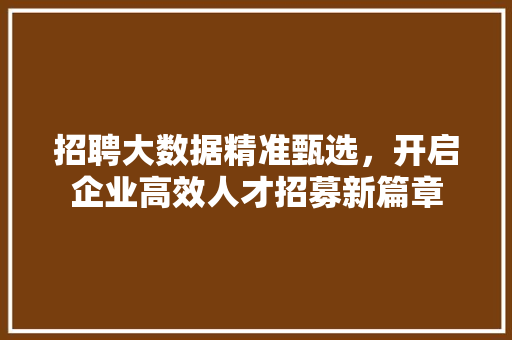 招聘大数据精准甄选，开启企业高效人才招募新篇章  第1张