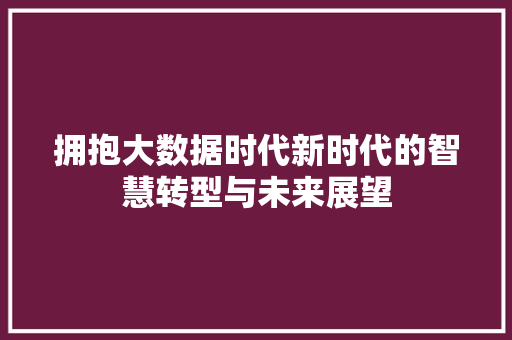 拥抱大数据时代新时代的智慧转型与未来展望  第1张