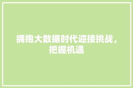 拥抱大数据时代迎接挑战，把握机遇  第1张