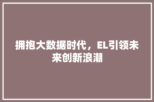 拥抱大数据时代，EL引领未来创新浪潮  第1张