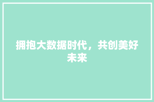 拥抱大数据时代，共创美好未来  第1张