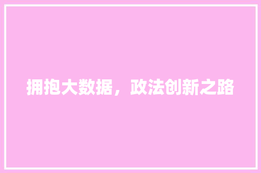 拥抱大数据，政法创新之路