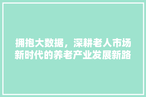拥抱大数据，深耕老人市场新时代的养老产业发展新路径