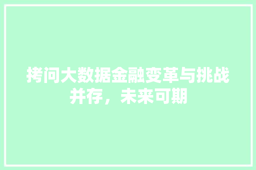 拷问大数据金融变革与挑战并存，未来可期  第1张