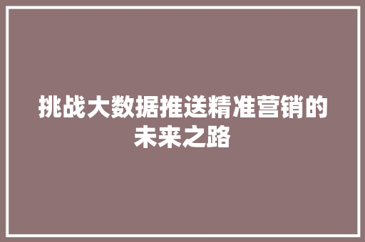 挑战大数据推送精准营销的未来之路  第1张