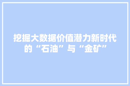 挖掘大数据价值潜力新时代的“石油”与“金矿”  第1张