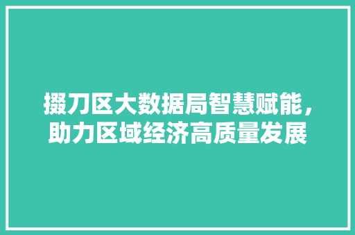 掇刀区大数据局智慧赋能，助力区域经济高质量发展