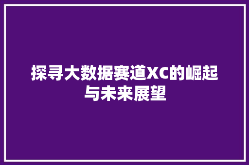 探寻大数据赛道XC的崛起与未来展望  第1张