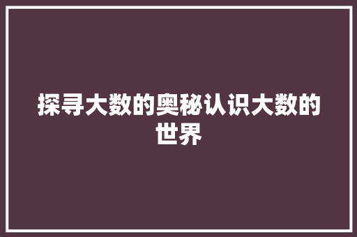 探寻大数的奥秘认识大数的世界